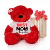 4 Feet Big Mothers Day Teddy Bears (5)